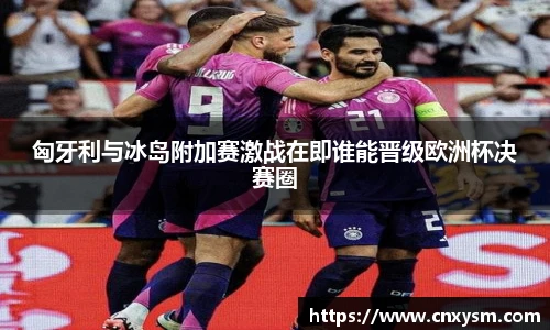 匈牙利与冰岛附加赛激战在即谁能晋级欧洲杯决赛圈