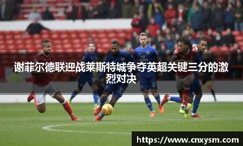 谢菲尔德联迎战莱斯特城争夺英超关键三分的激烈对决