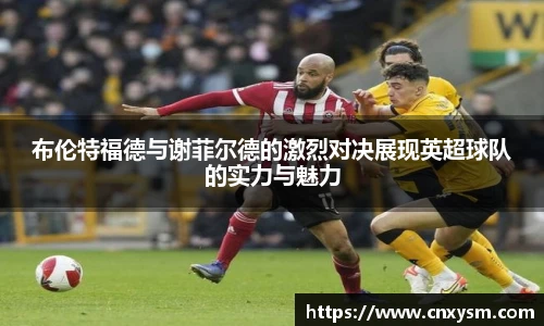 布伦特福德与谢菲尔德的激烈对决展现英超球队的实力与魅力